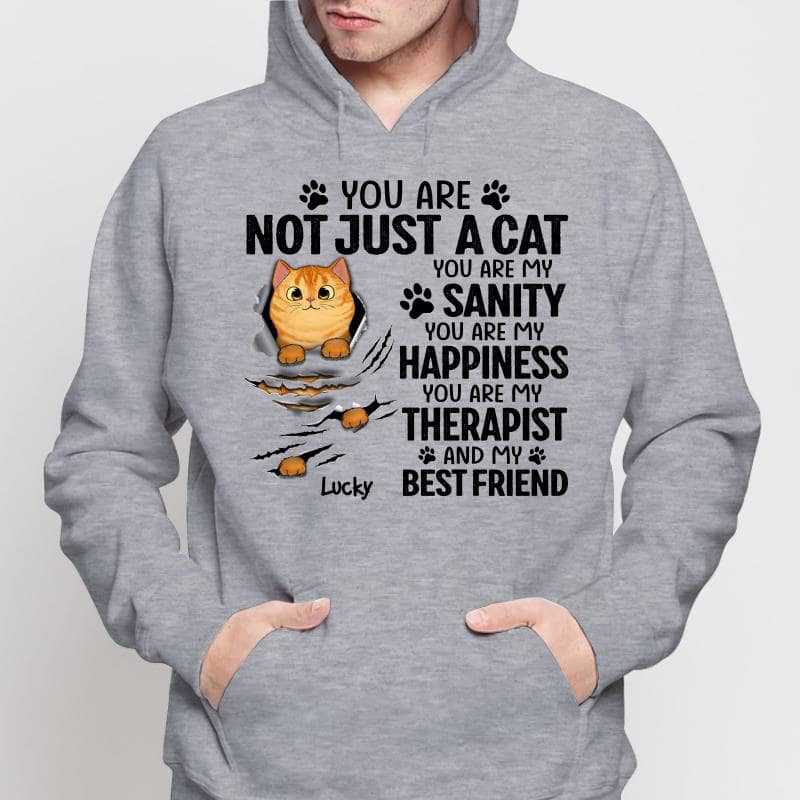 Scratching Fluffy Cats My Sanity Personalized Shirt