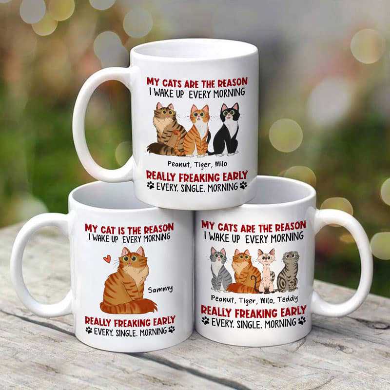 Reasons Wake Up Early Sitting Cartoon Cat Personalized Mug