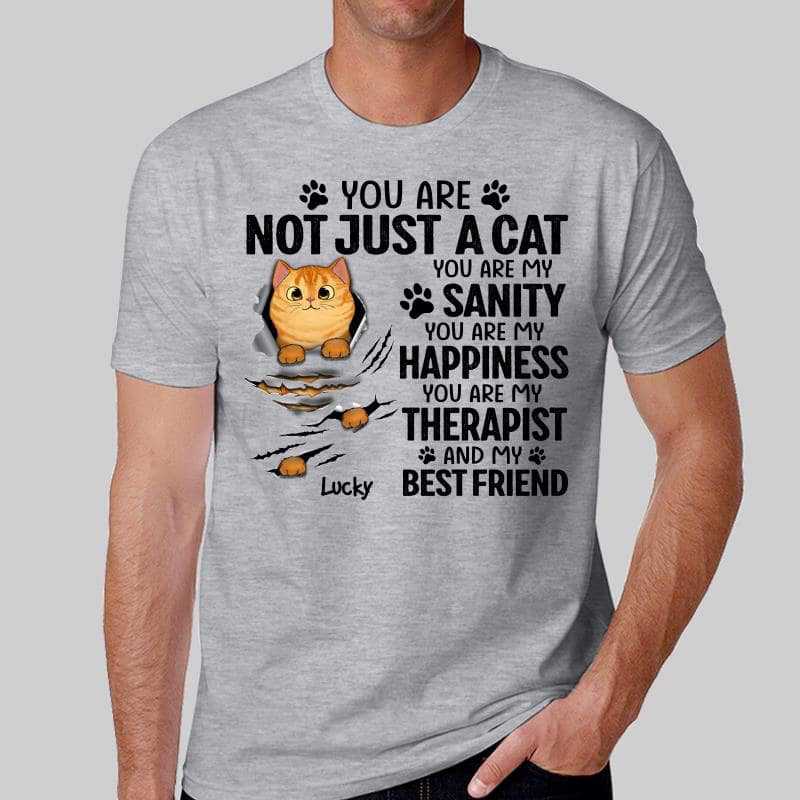 Scratching Fluffy Cats My Sanity Personalized Shirt