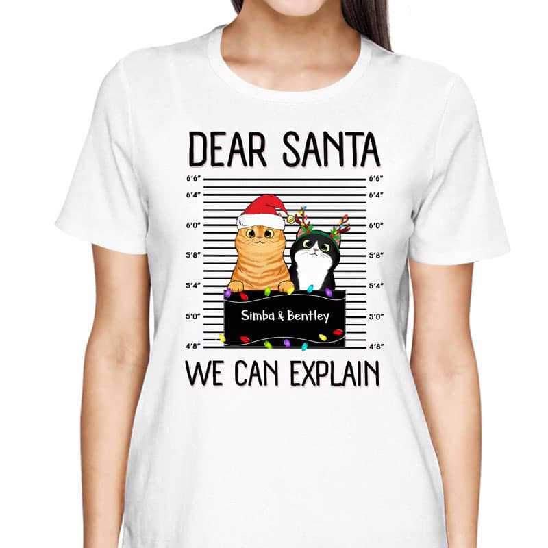 Apparel Dear Santa I Can Explain Fluffy Cat Personalized Shirt
