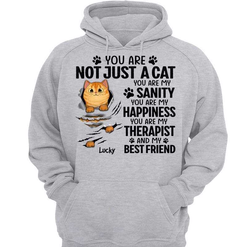 Scratching Fluffy Cats My Sanity Personalized Shirt