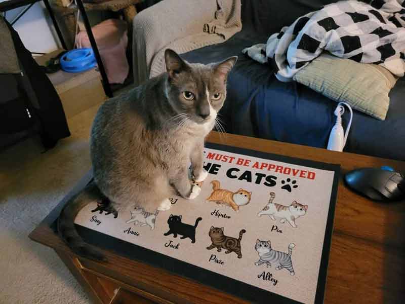 Doormat All Visitors Must Be Approved By Cats Personalized Doormat