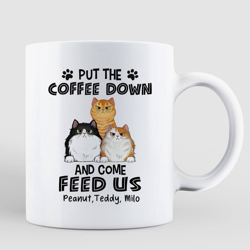 Mug Grumpy Fluffy Cats Personalized Mug