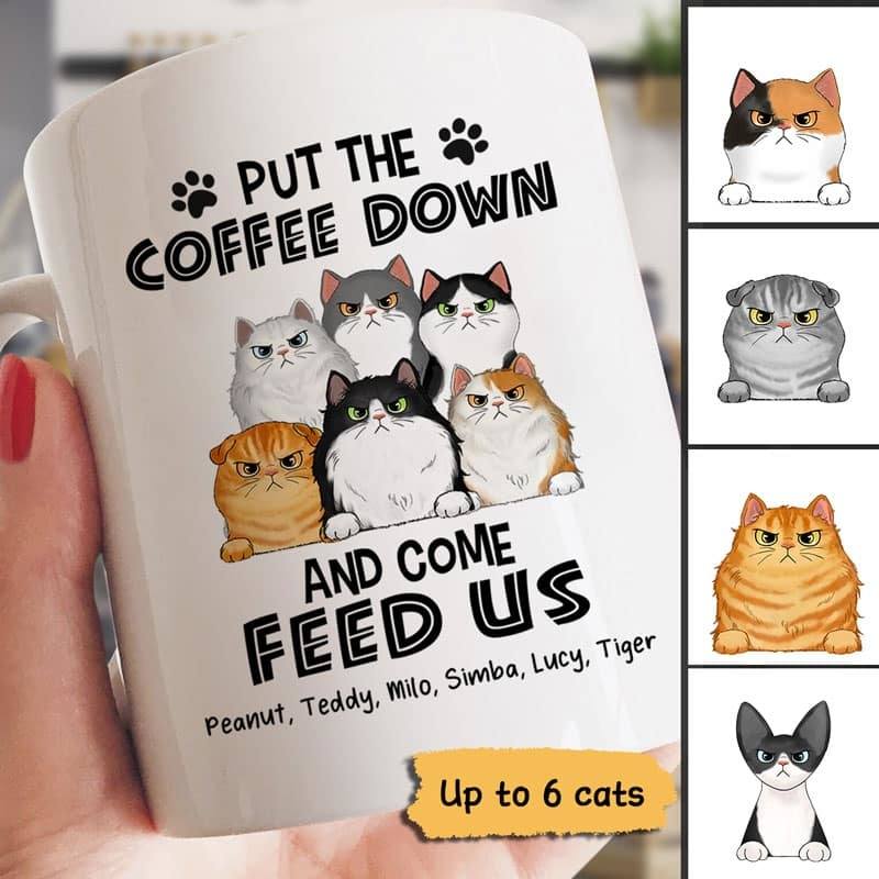 Mug Grumpy Fluffy Cats Personalized Mug Ceramic Mug / White / 11oz