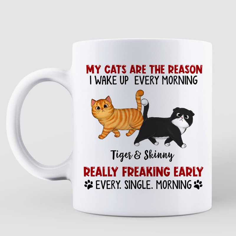 Mug Reason I Wake Up Early Walking Fluffy Cats Personalized Mug