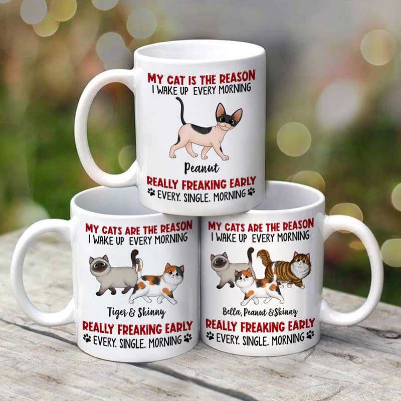Mug Reason I Wake Up Early Walking Fluffy Cats Personalized Mug