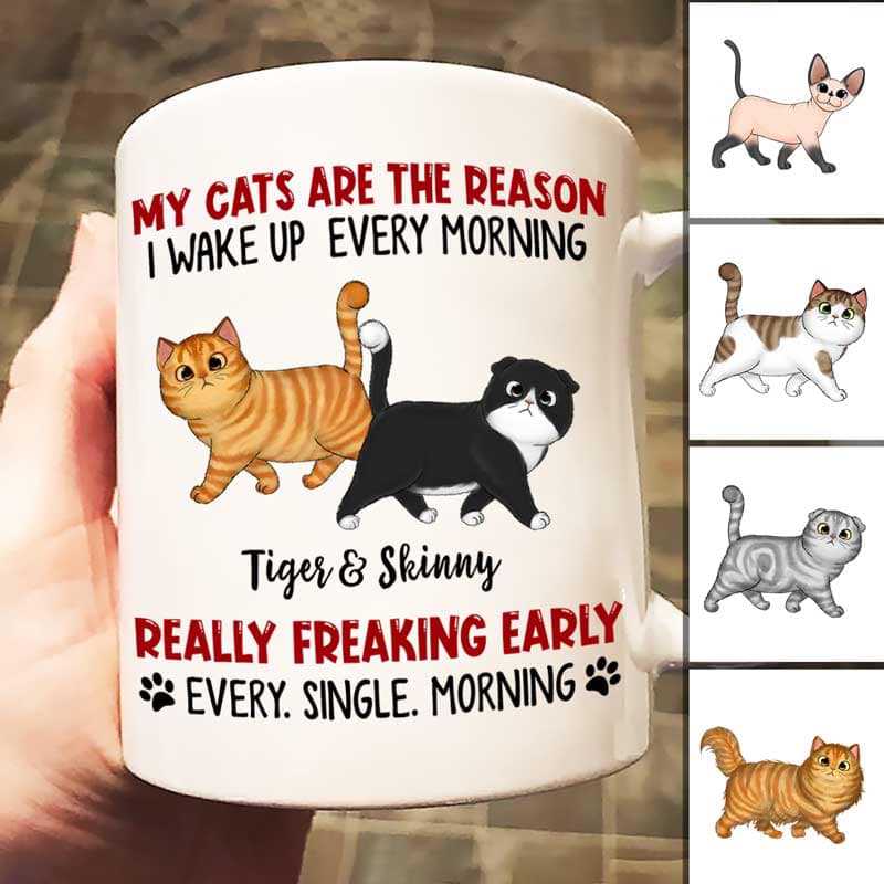 Mug Reason I Wake Up Early Walking Fluffy Cats Personalized Mug Ceramic Mug / White / 11oz