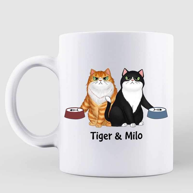 Mugs Put Coffee Down & Feed Us Fluffy Cats Personalized Coffee Mug