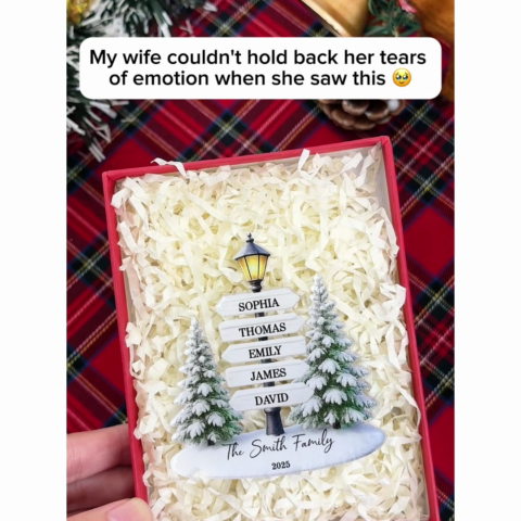 Christmas Family Lamp Posts Directional Signs - Personalized Acrylic Ornament - Gift For Family