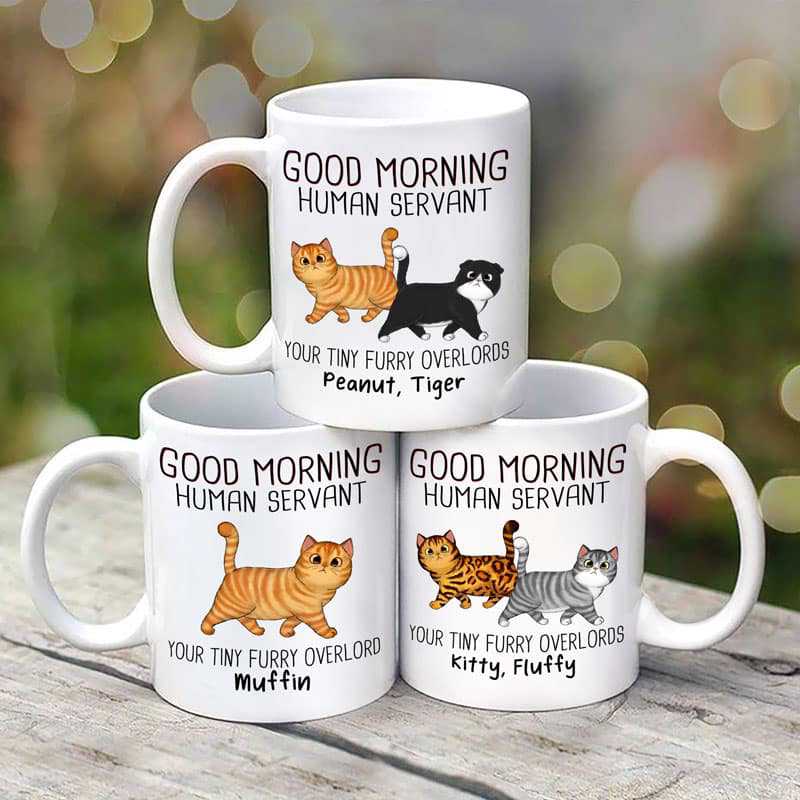 Walking Fluffy Cats Good Morning Cat Human Servant Personalized Mug (11oz)