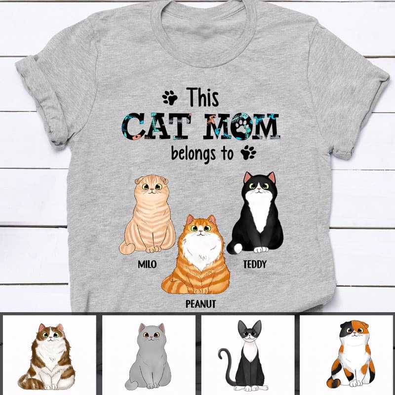Apparel This Cat Mom Belongs To Fluffy Cat Personalized Shirt Classic Tee / Ash Classic Tee / S