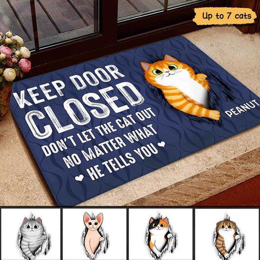 Doormat Keep Door Closed Fluffy Cat Tearing Personalized Doormat 16x24