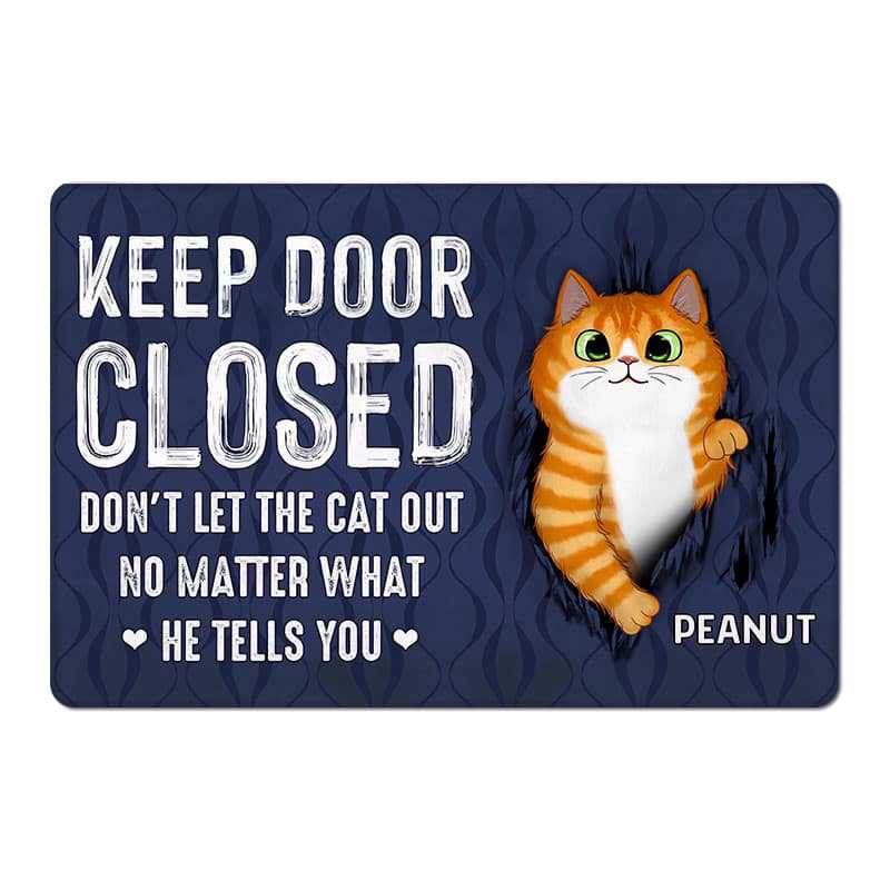 Doormat Keep Door Closed Fluffy Cat Tearing Personalized Doormat