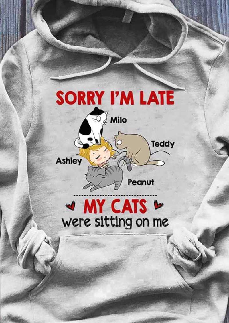 Hoodie Sorry I'm Late My Cats Were Sitting On Me Personalized Hoodie Pullover Hoodie / S / Ash