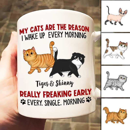 Mug Reason I Wake Up Early Walking Fluffy Cats Personalized Mug Ceramic Mug / White / 11oz