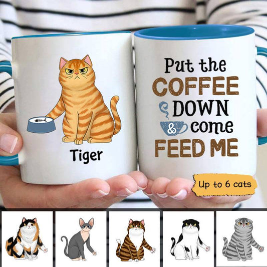 Mugs Put Coffee Down & Feed Us Fluffy Cats Personalized Coffee Mug Ceramic Mug / White / 11oz