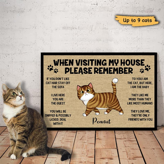 Poster Please Remember When Visiting Cats House Personalized Horizontal Poster 18x12