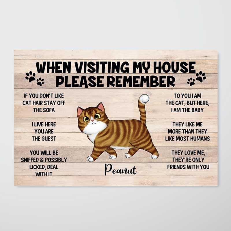 Poster Please Remember When Visiting Cats House Personalized Horizontal Poster